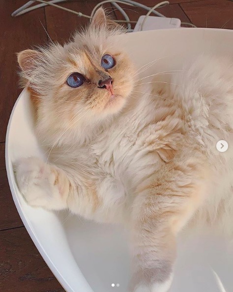 屏幕快照 2020-02-03 下午5.55.17