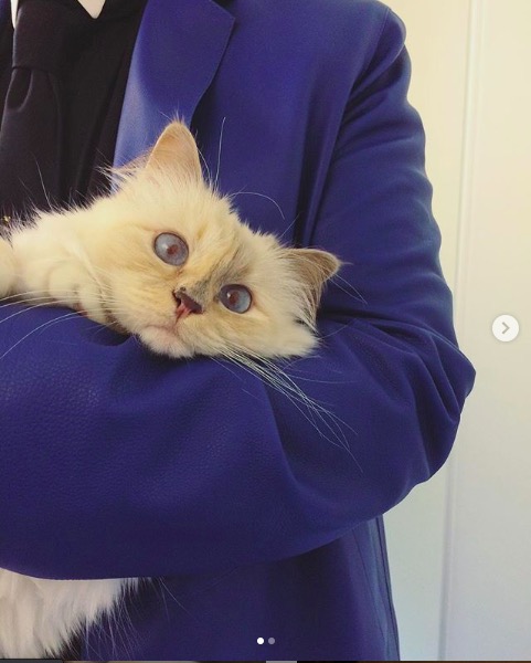 屏幕快照 2020-02-03 下午5.55.56