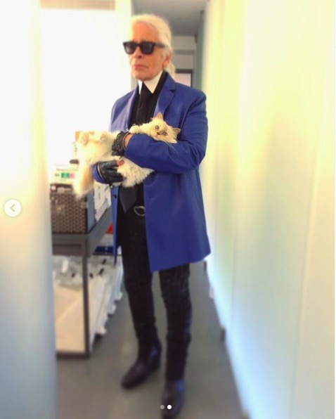 屏幕快照 2020-02-03 下午5.56.02