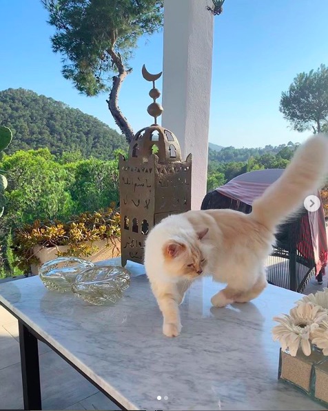 屏幕快照 2020-02-03 下午5.57.26