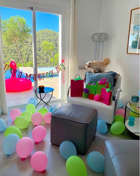 屏幕快照 2020-02-03 下午5.58.06