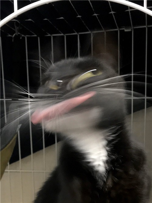 1587871252-6214-0HNfU9pfd-G3sC