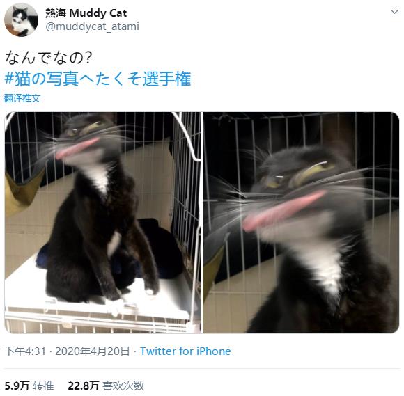 1587871252-6312-Z3cmqvC9-MsAK