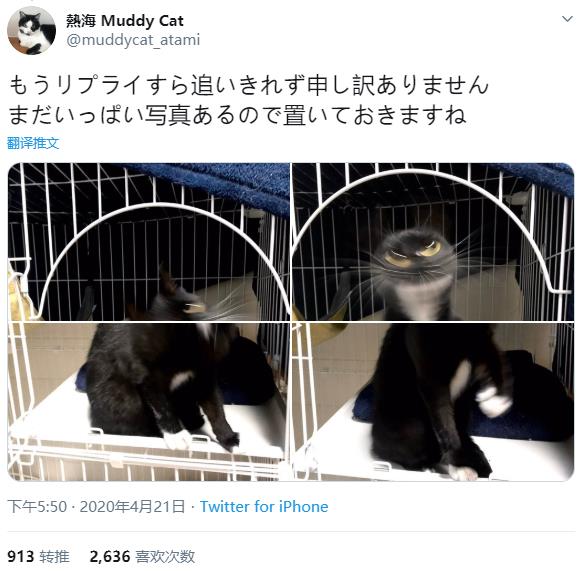 1587871255-7813-XH3cP2CK-qcDX