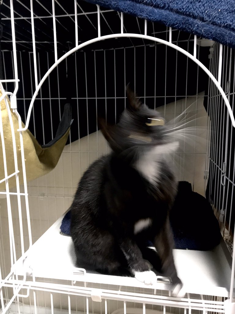 1587871256-9056-h5MrRpUQ-RWvj