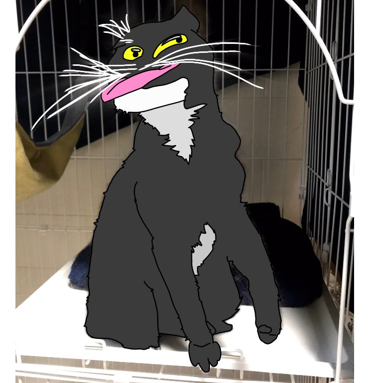 1587871256-9953-PQPFxN73-UsKf