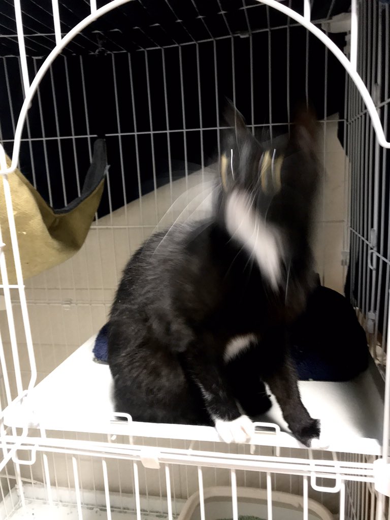 1587871258-3677-J2EJKVsp-YPNJ