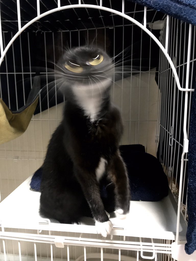 1587871258-6890-znd4JBM6-z95W