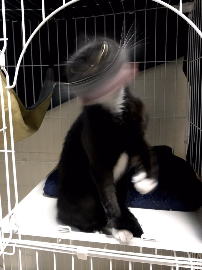 1587871259-4159-ZkpaYC7C-pKj3