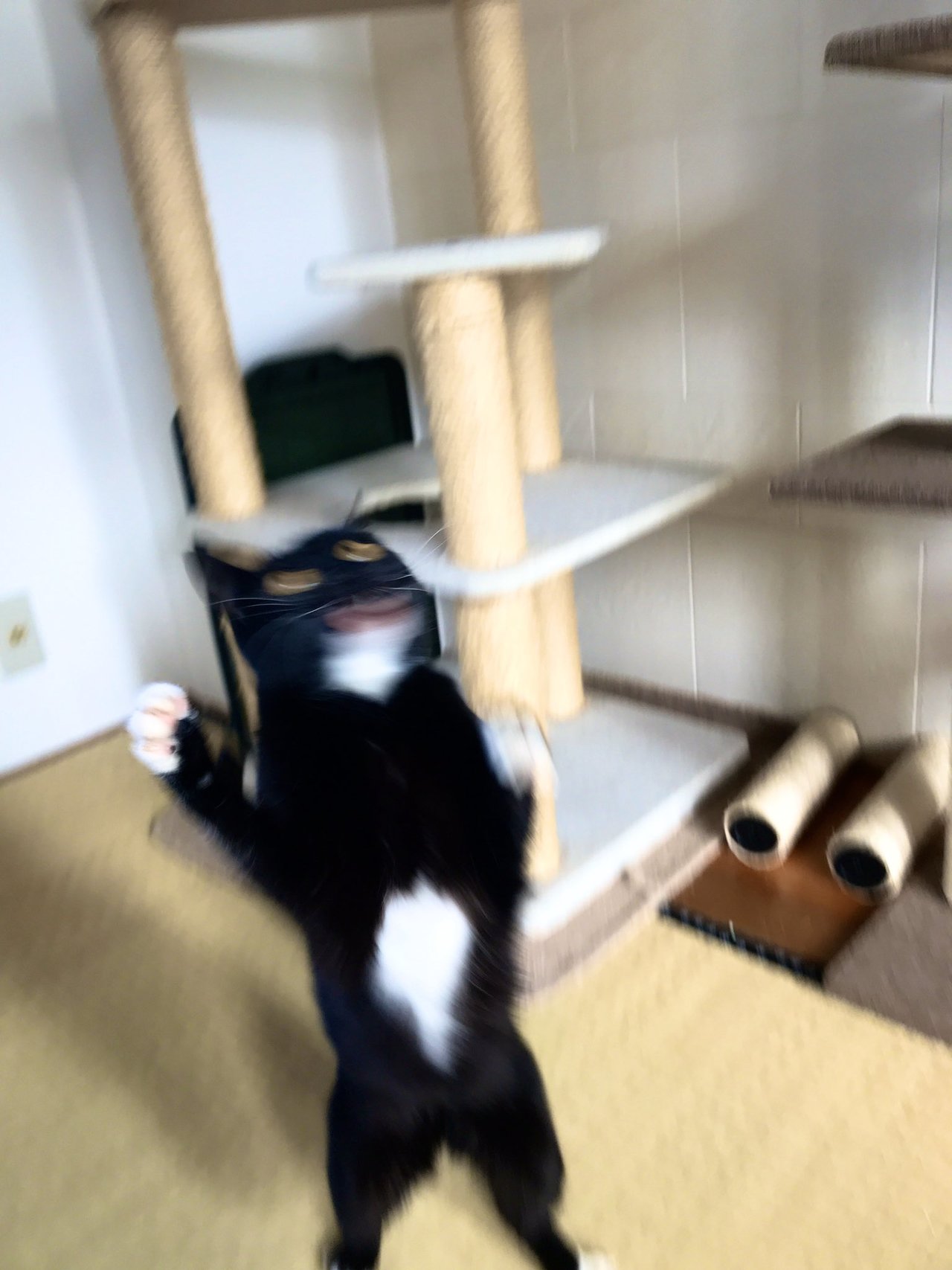 1587871261-2812-u8mbTfwn-afRQ