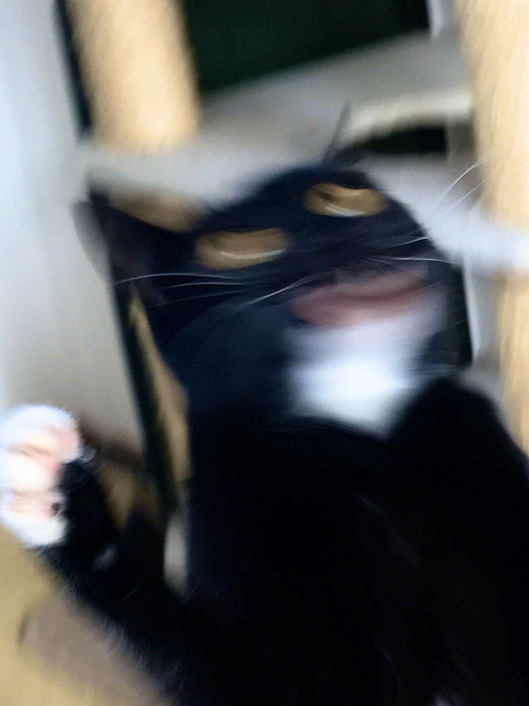 1587871262-8964-KKK8gNIn-HFuG