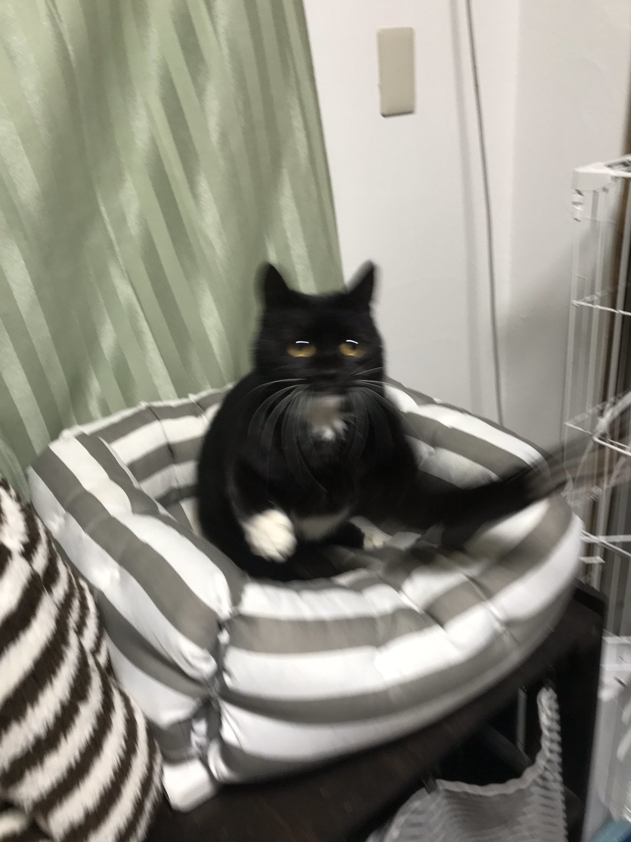 1587871262-9202-MaaxQRZW-FQtC