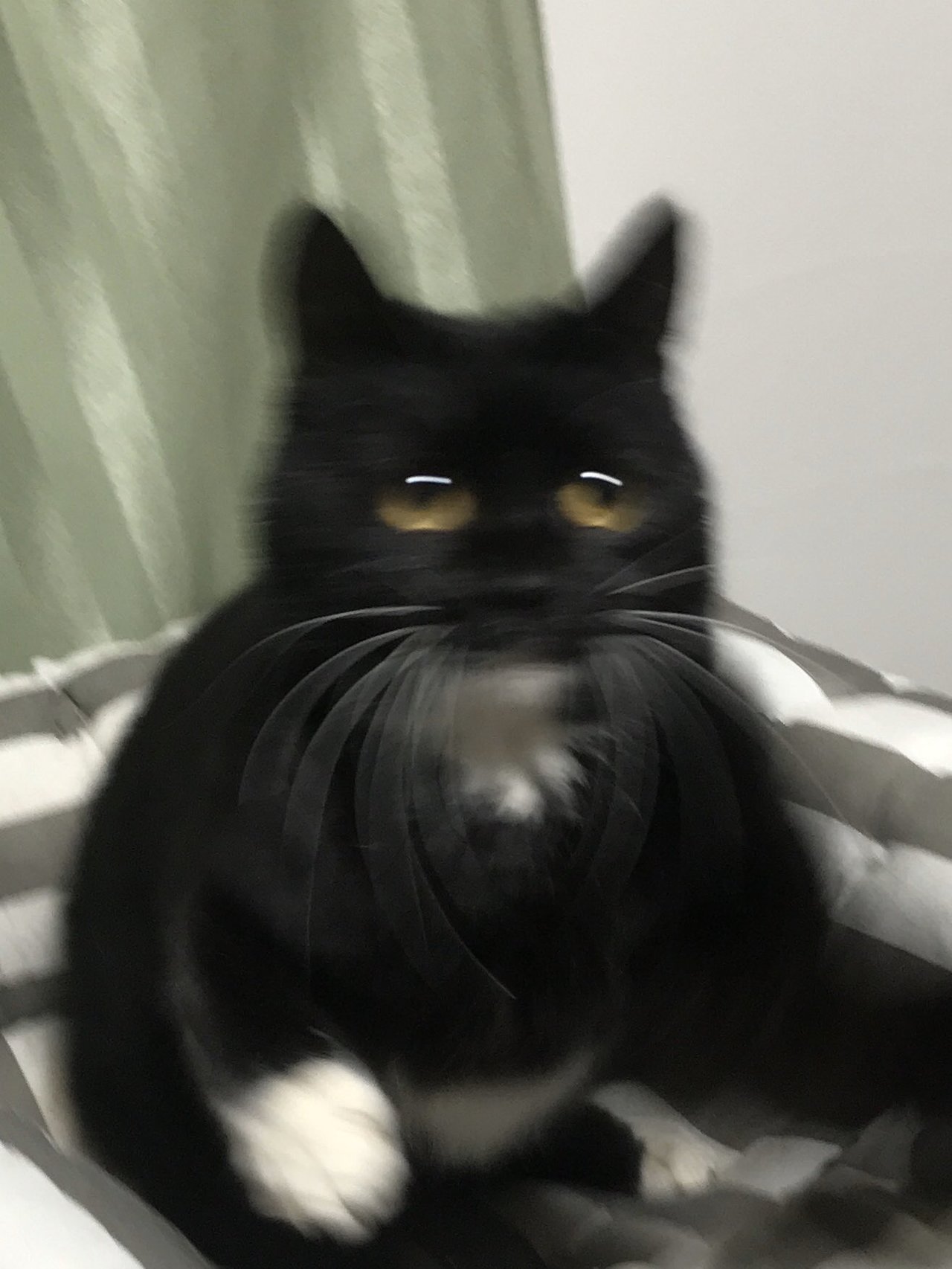 1587871263-4604-ese4QCKT-CXBa