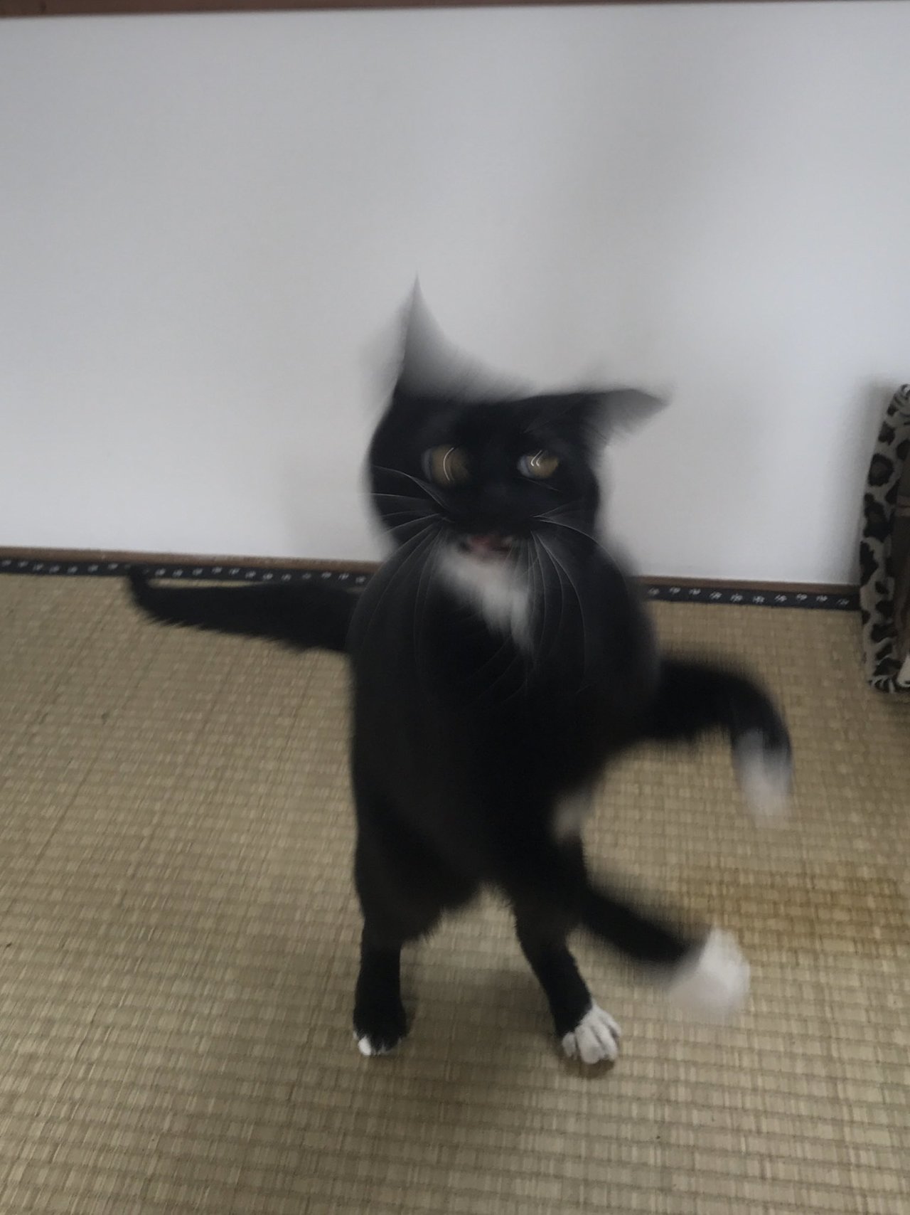 1587871264-3472-MhWUJZa2-9SY5