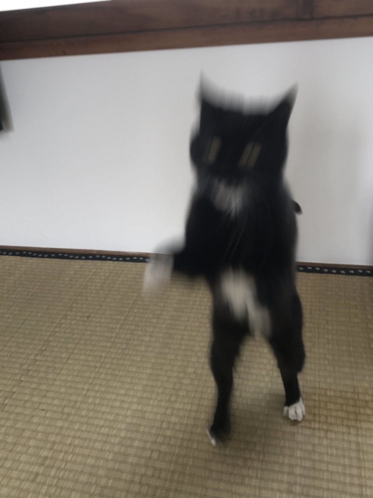 1587871266-5882-fdDveYCd-Pn7p