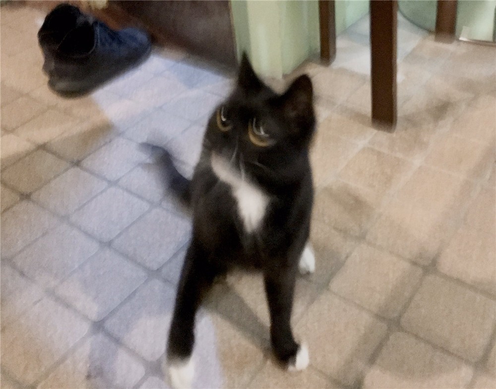 1587871271-1872-0Q9Eq6eAj-ZyME