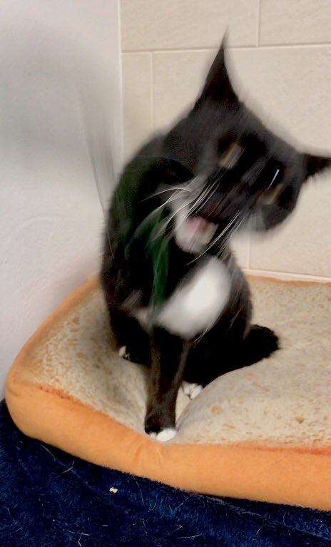 1587871271-4322-dFTpmJse-MpYt