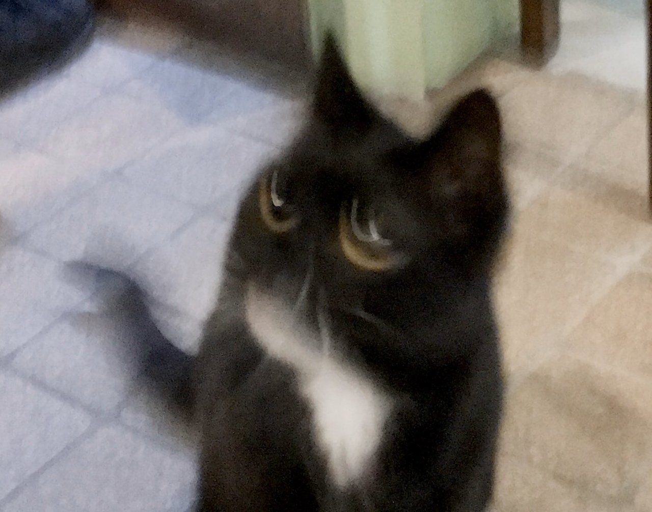 1587871271-7760-7LEtqMQG-6avG