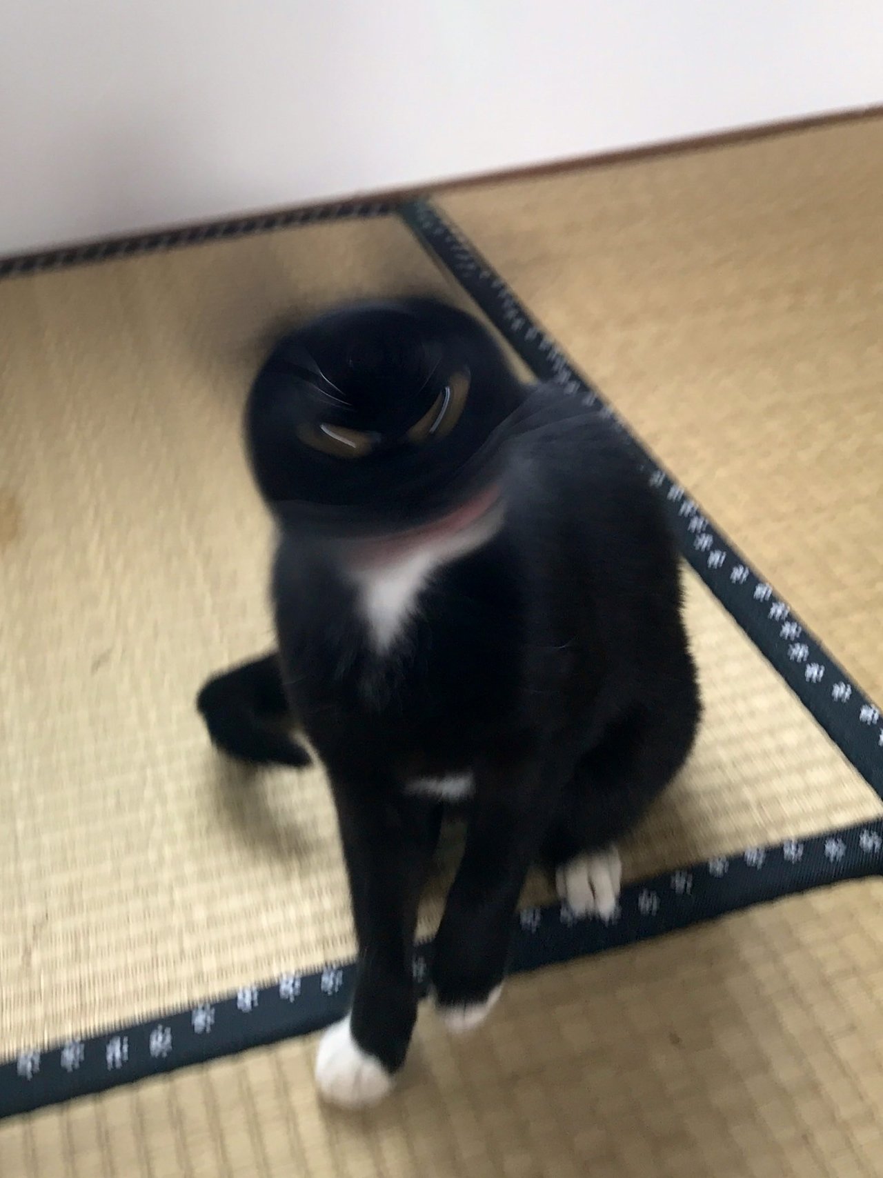 1587871272-8074-xgESzuHS-65mW