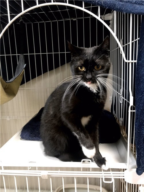 1587871274-2595-0mcvC6j5n-DjAz