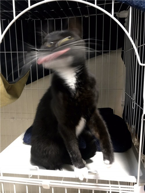 1587871277-8705-0gGGdprBr-ICfA