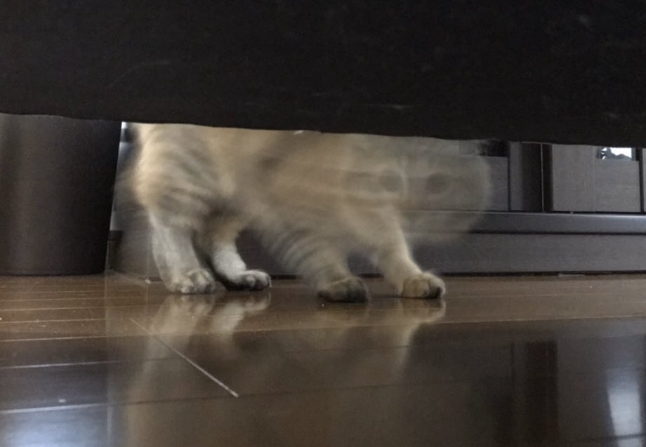 1587871283-6909-LheNvBWb-zR4Y