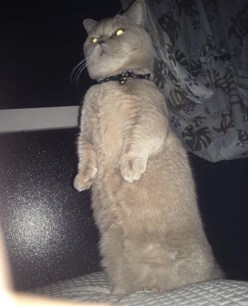 1587871286-1480-htz96OUf-gKux