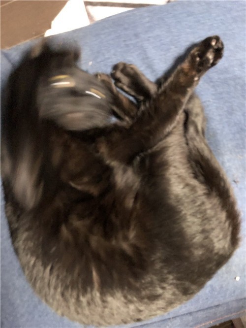 1587871288-3794-0PAkfmDO2-Rq2R