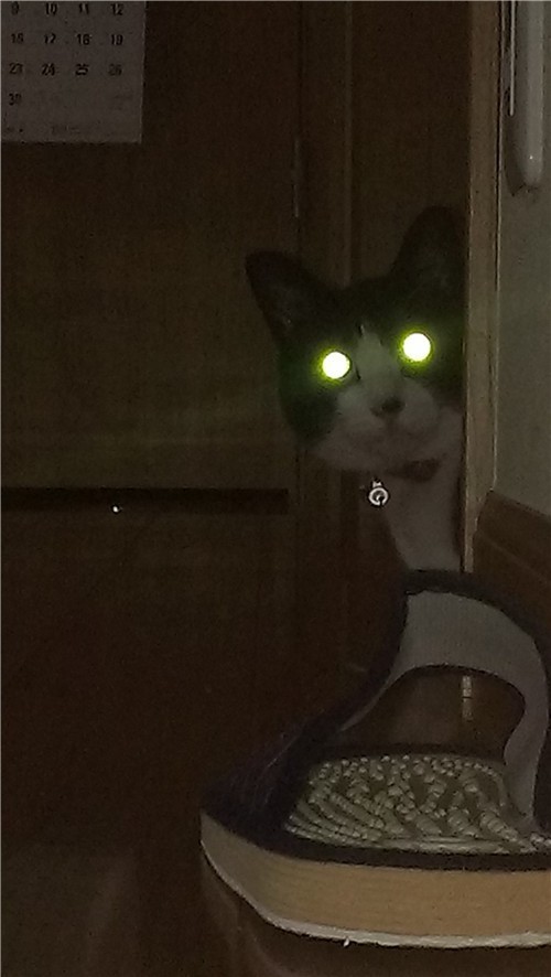 1587871288-7791-0qjFOxSwI-wM6K