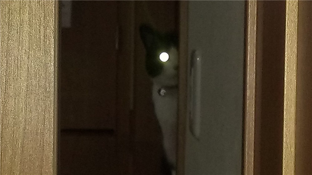 1587871290-9001-0cVQpFRMc-vHr2