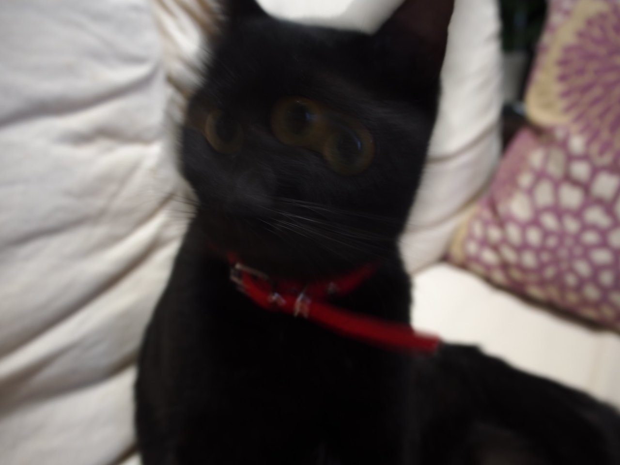 1587871291-9621-74KzndUL-qfMb