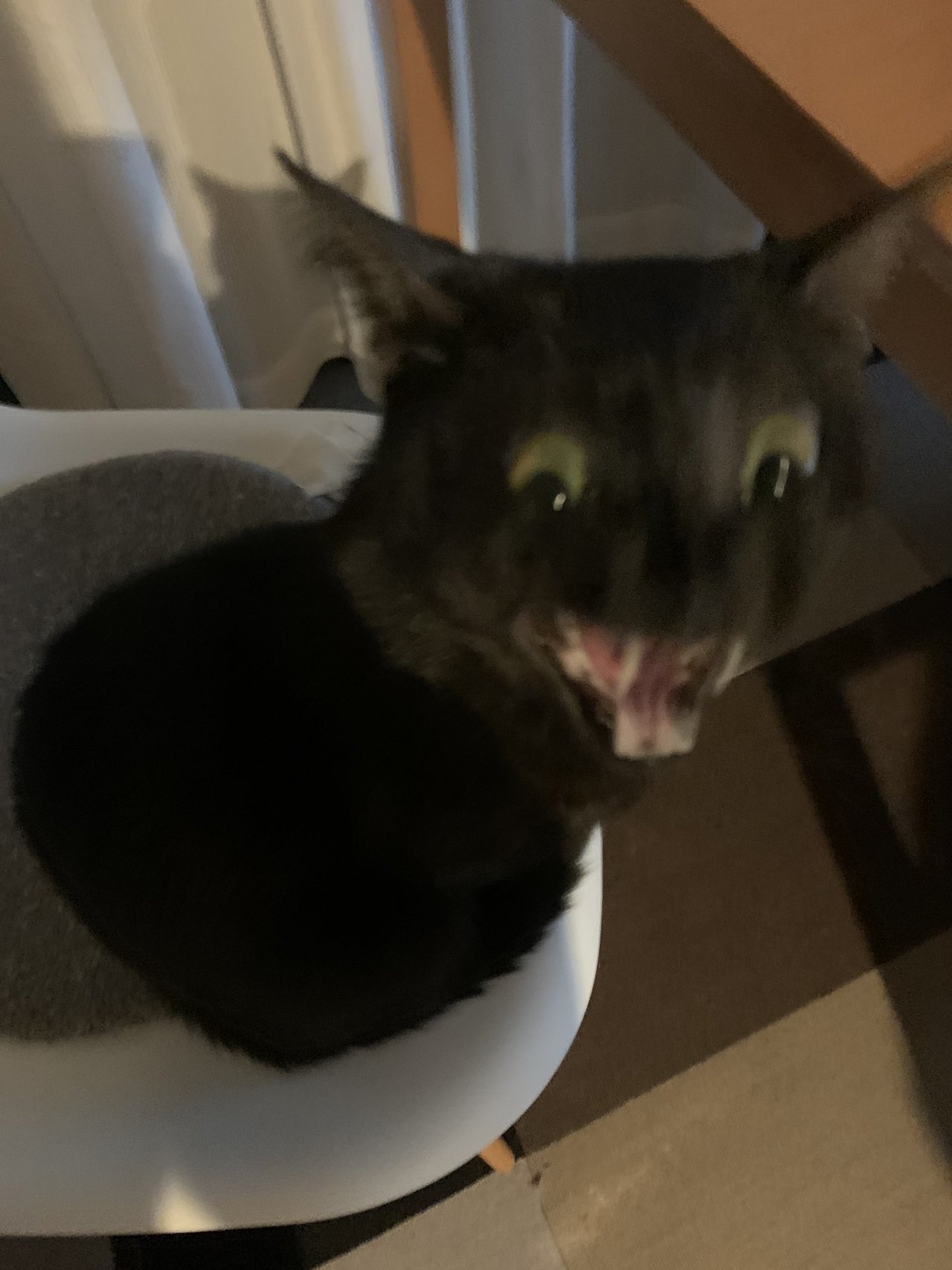 1587871293-9896-g6Ce3cw5-WD6P