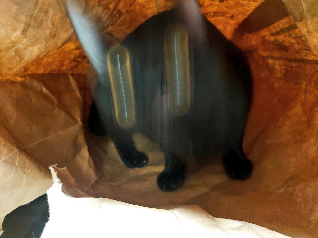 1587871295-8772-n8gFLxjT-uEjI