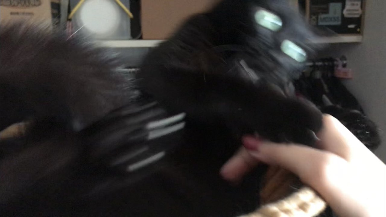 1587871296-2934-GOdLOLmP-Yrua