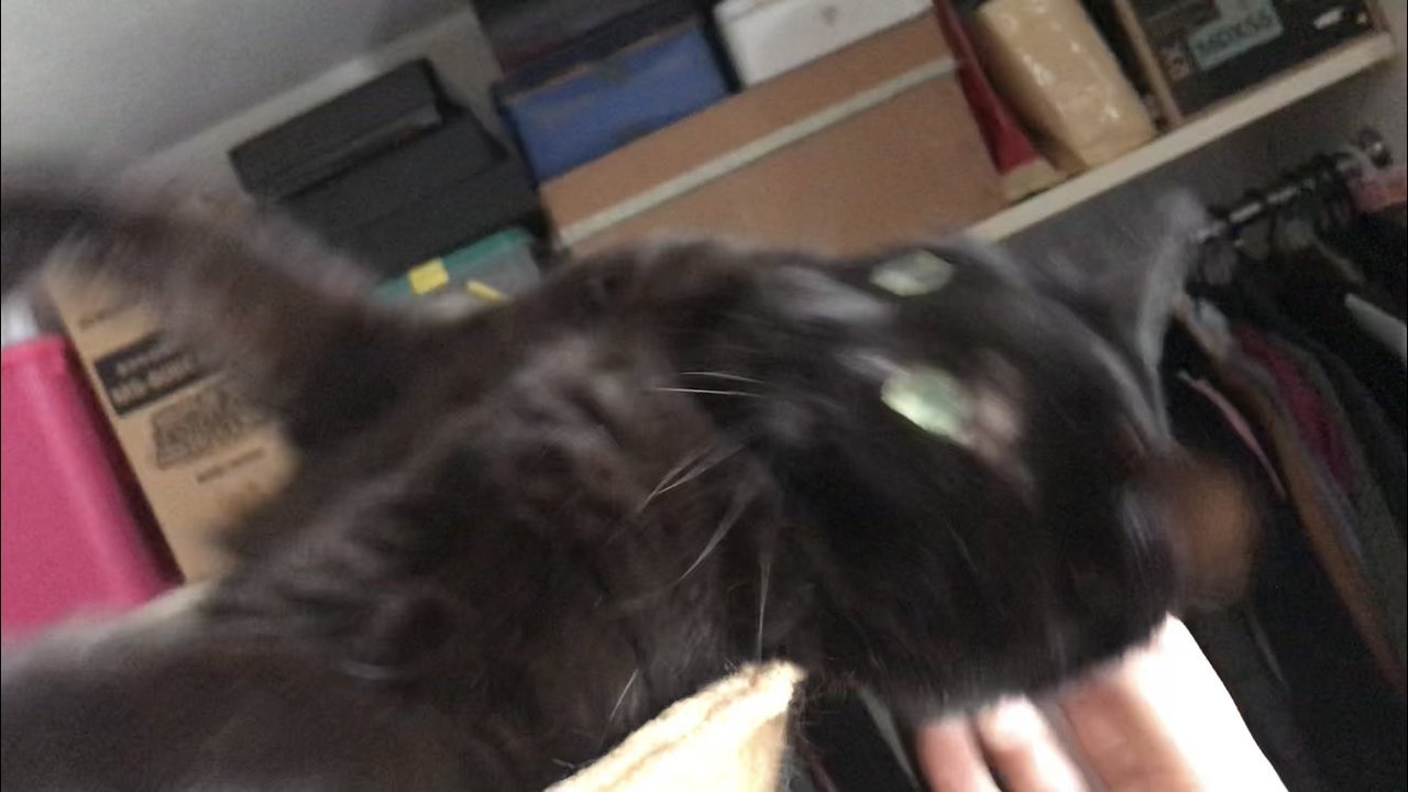 1587871297-5210-vAwg4TaA-wFSP