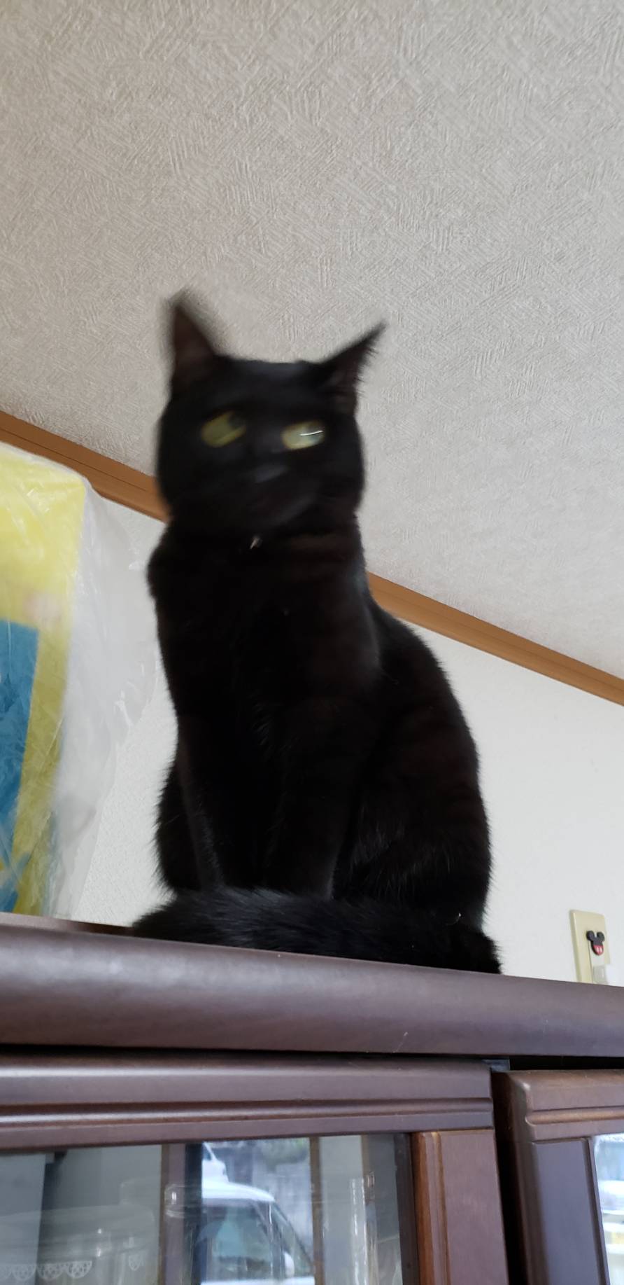 1587871298-9010-vZsEBFpw-nc6j