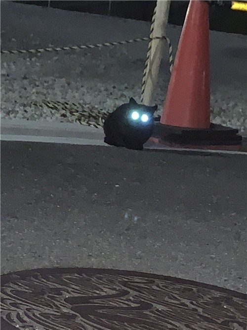 1587871300-9920-0zyhJ4cQx-dVN2