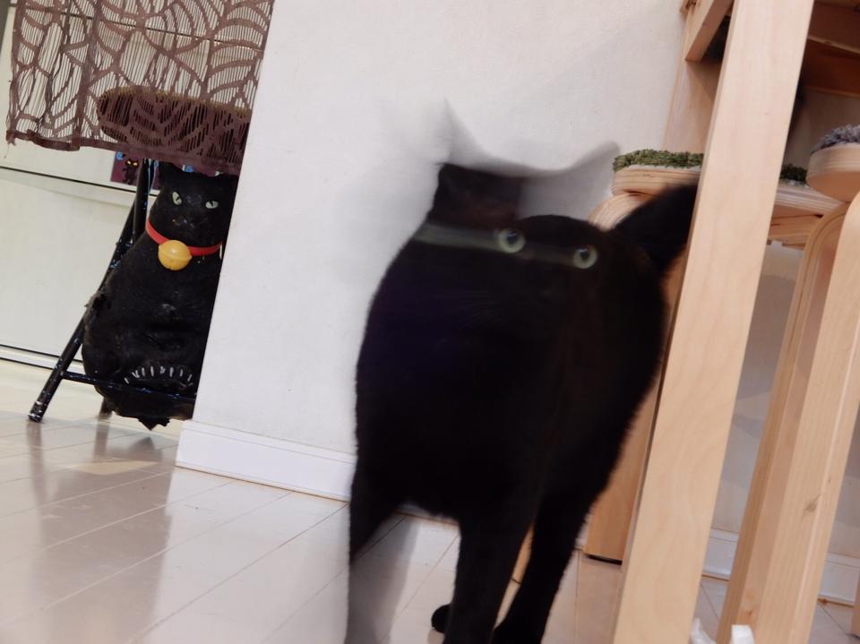 1587871302-5565-YjZsrUnV-sNmk