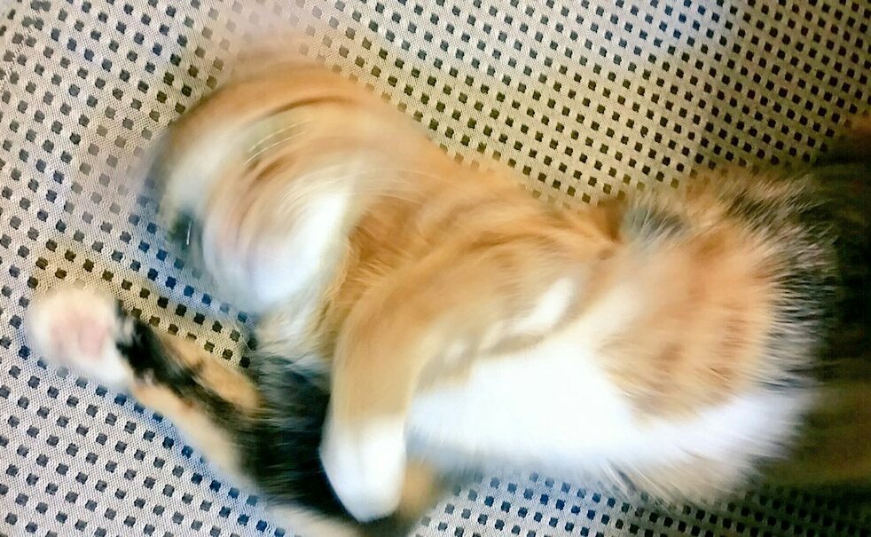 1587871303-2947-JxQCyImx-fc5D