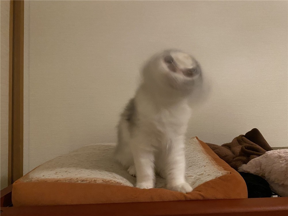 1587871303-5042-0eImhrWQc-mFGb