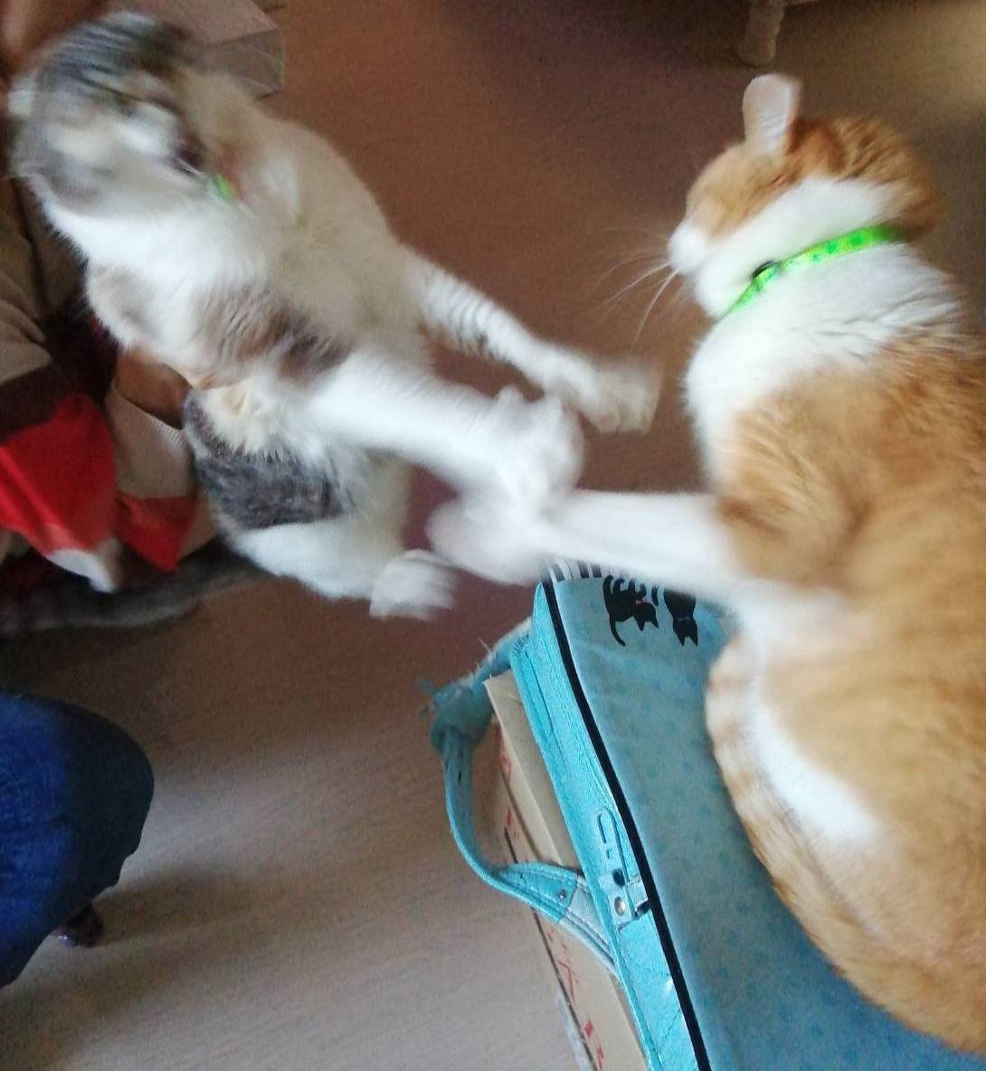 1587871303-9084-DQ96gaEL-e7DW