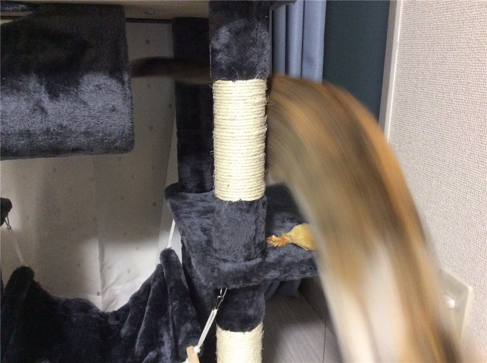 1587871304-7266-05gQw7reM-pUUB