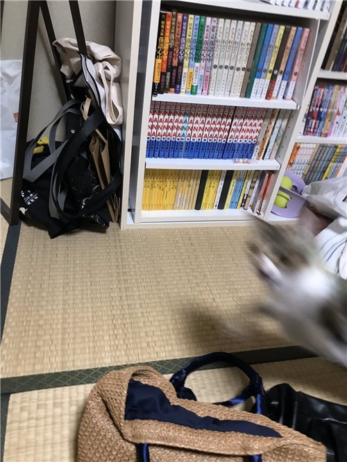 1587871306-3527-0YWVnUJj9-Jf4L