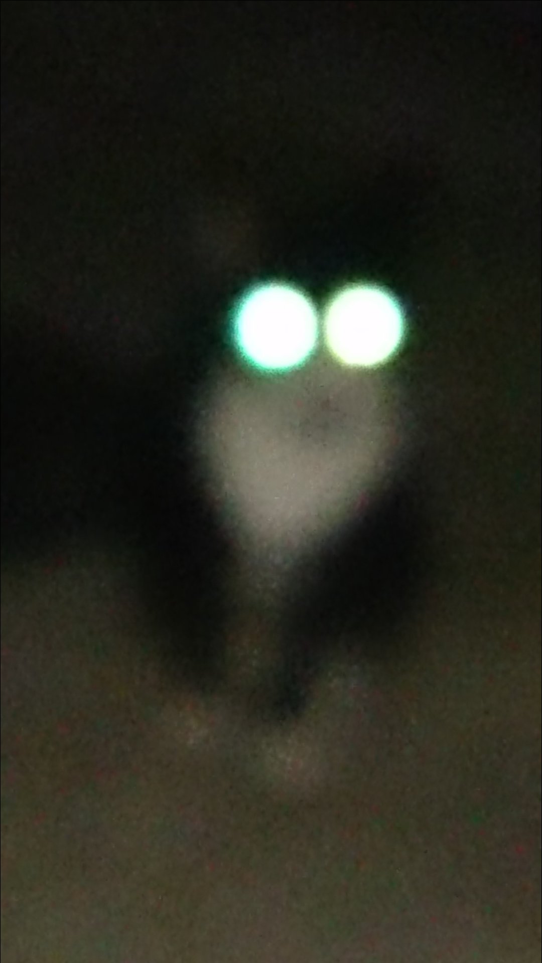 1587871309-1528-eECjd8nw-CI4k