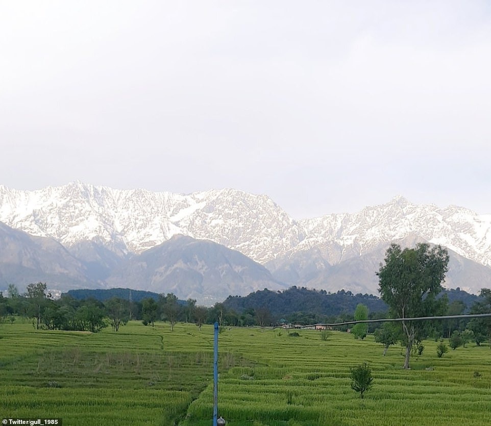 26950636-8199955-The_mountain_range_is_home_to_more_than_110_peaks_including_Moun-a-1_1586346431256.jpg
