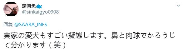 微信截图_20200418130844