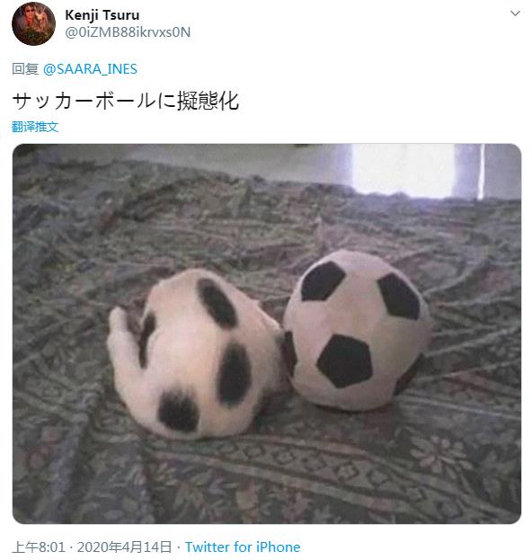微信截图_20200418130959
