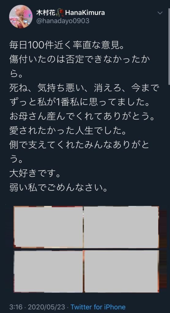 中傷 木村 花 理由 誹謗