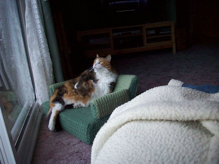 tiny-crochet-cat-couches-5eaac3d9911c5__700
