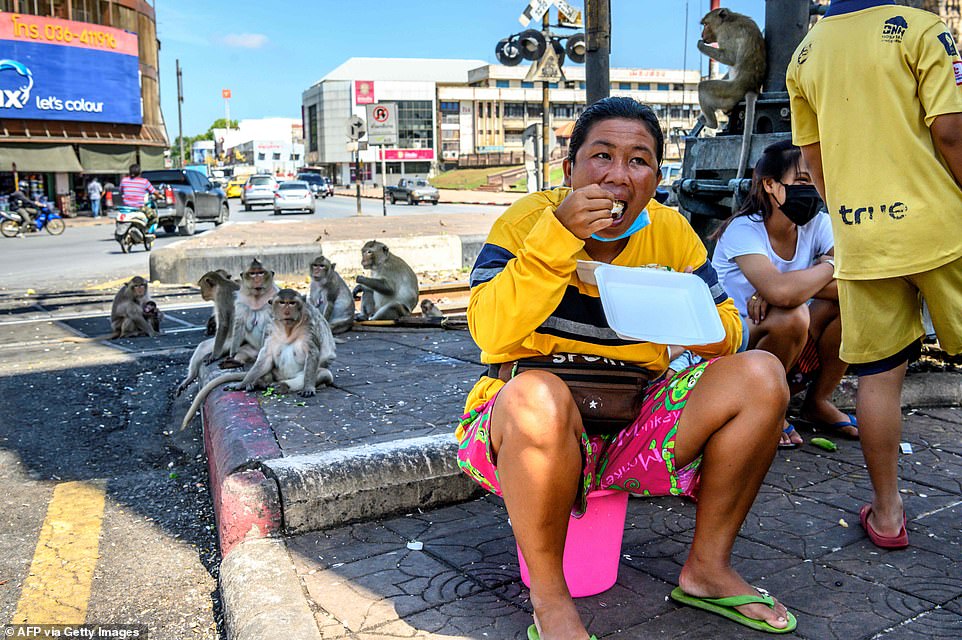 30004952-8459673-Locals_eating_on_the_street_are_watched_over_by_longtailed_macaq-a-39_1593101526682
